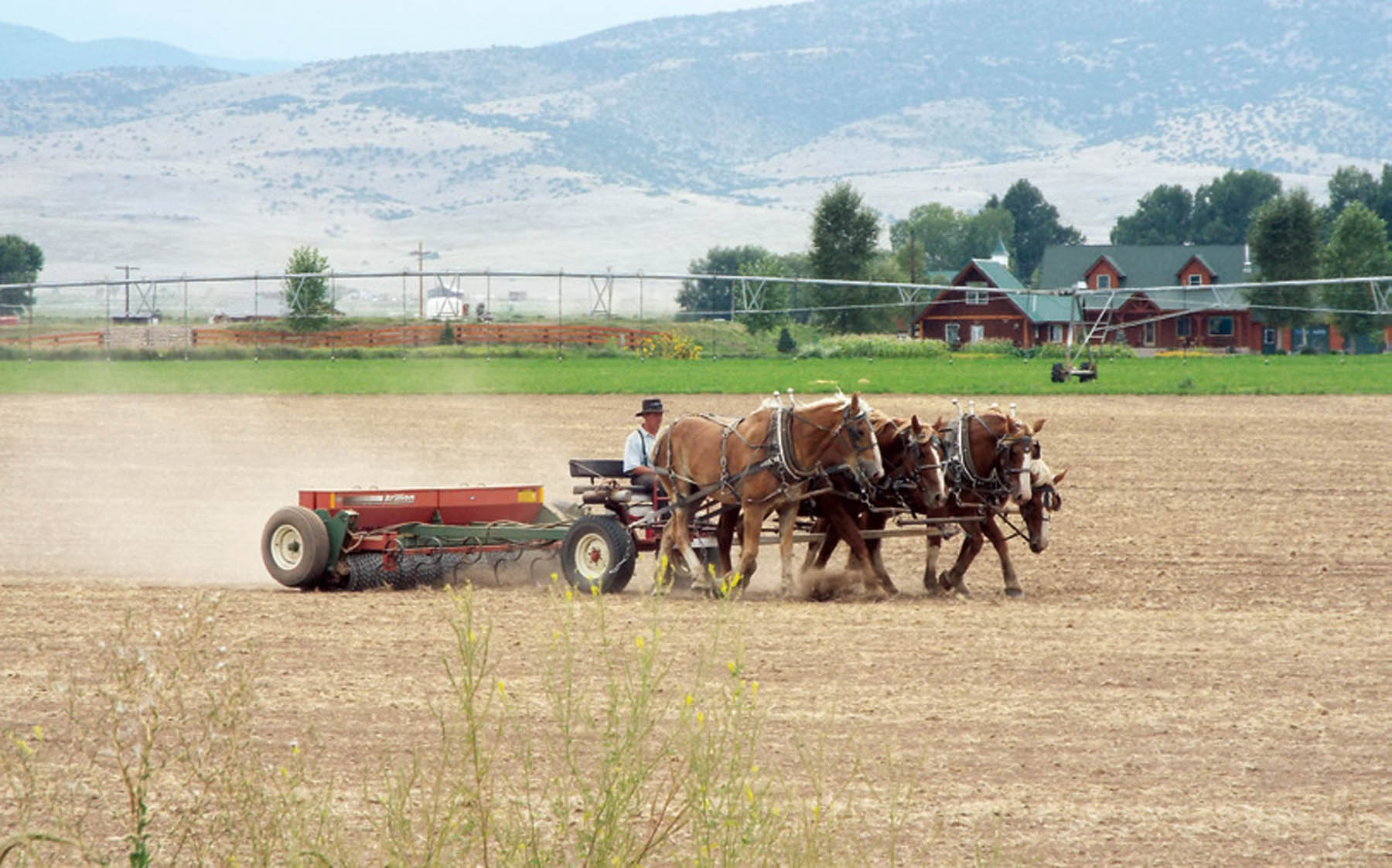 Farming In The San Luis Valley, Then And Now